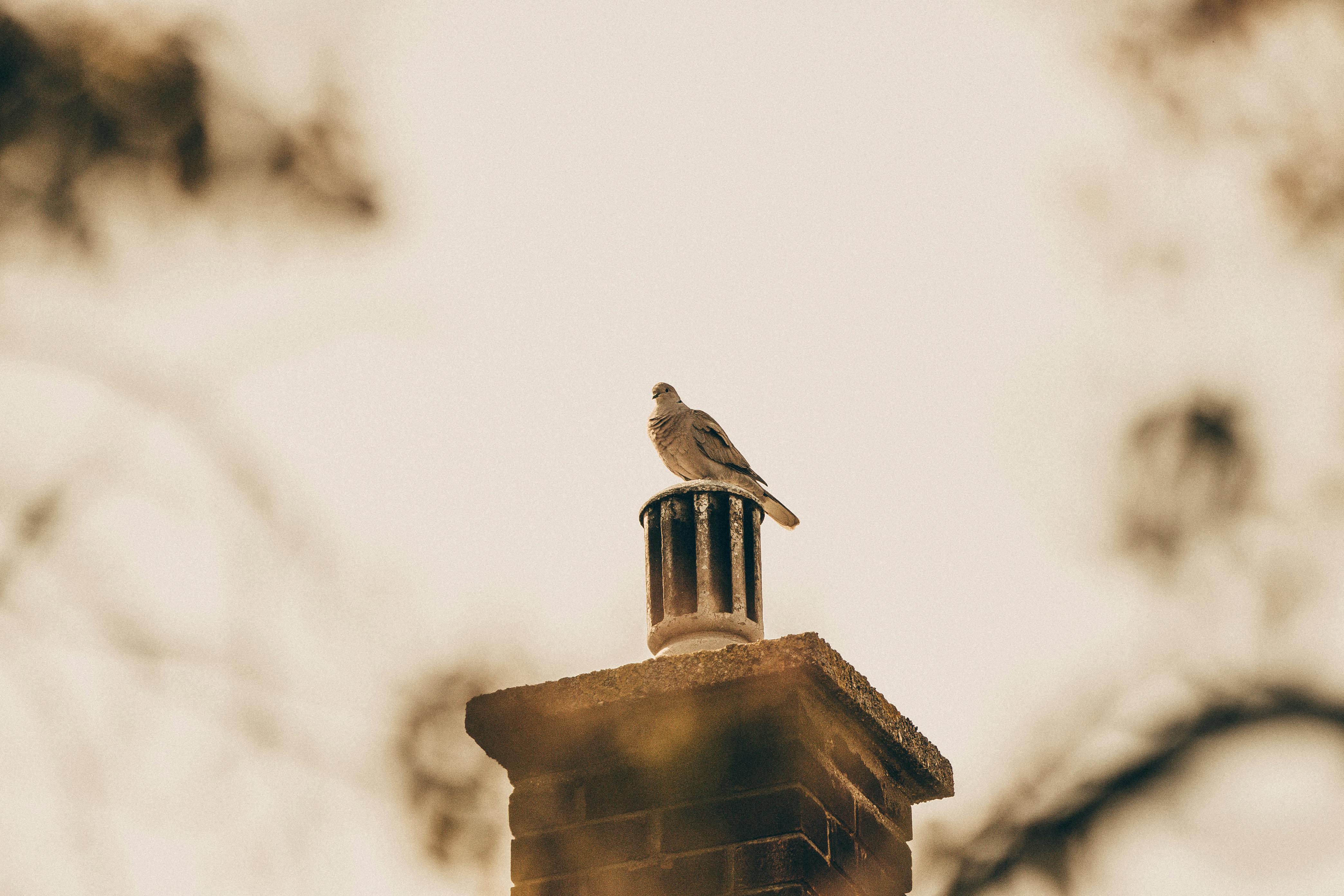 Professional Chimney Cap Installation Services in Lawndale, CA Expert Chimney Cap Installation in Lawndale, California